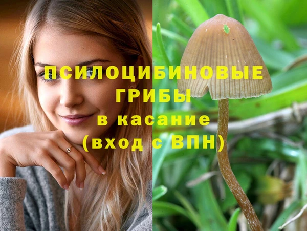а пвп мука Тайга