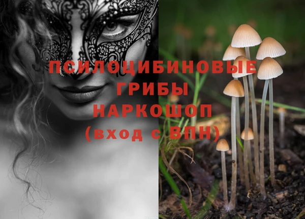 а пвп мука Тайга