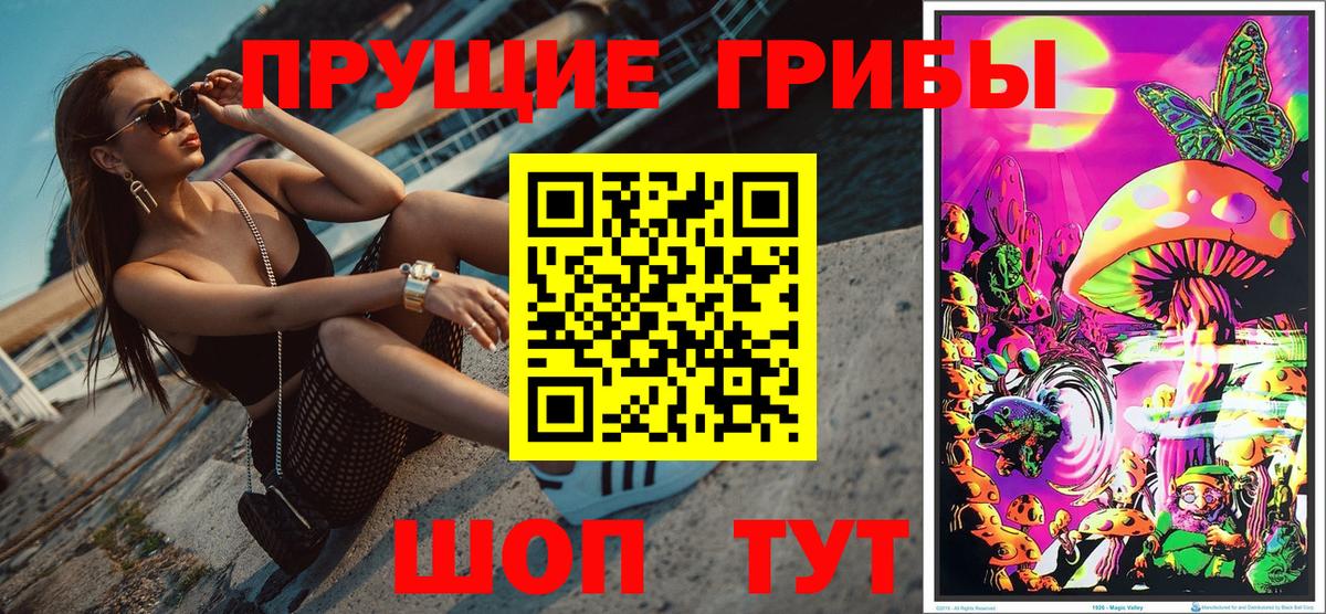 Псилоцибиновые грибы мицелий  дарнет шоп  Вход с VPN  Избербаш  Галлюциногенные грибы Cubensis 