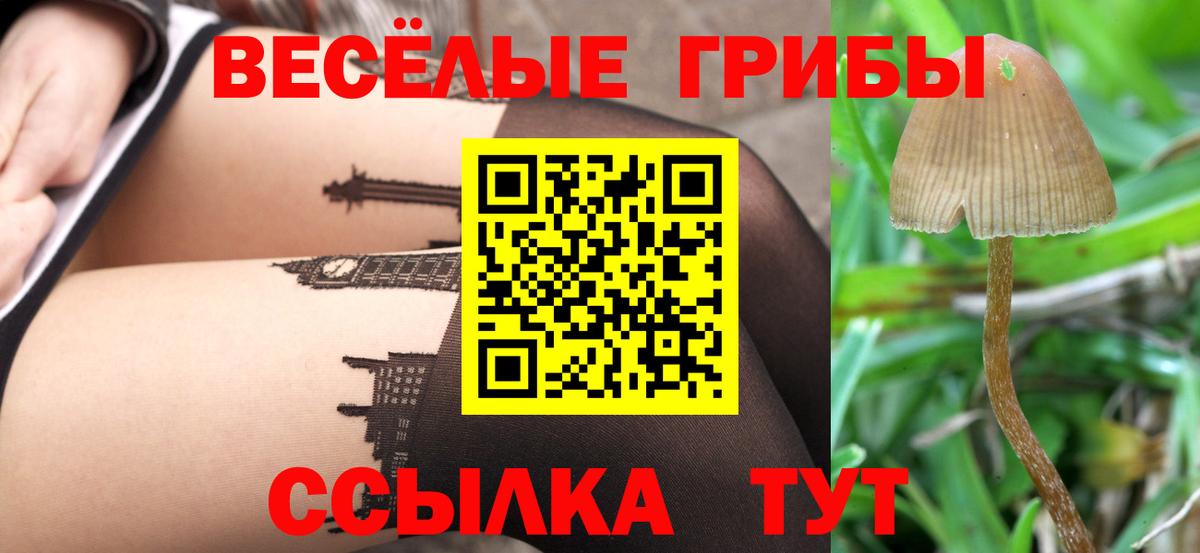 Псилоцибиновые грибы прущие грибы  Избербаш 